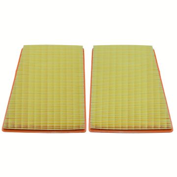 Air Filters (Pair) (GT & GTC V8) (3W0129319/20P)