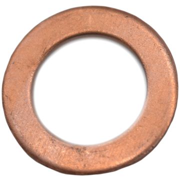 Aston Martin Sump Plug Washer (V8 Vantage) (6G33-9N228-AA)