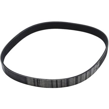 Ribbed V-Belt (8642155)