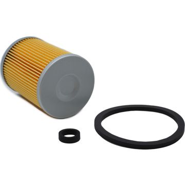 Fuel Filter (1965-1980) (CD4299P)