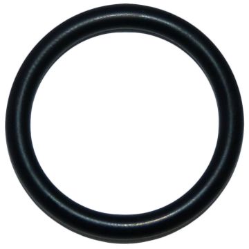 Heater Pipe O-Ring 1965-1998 (RE25134P)