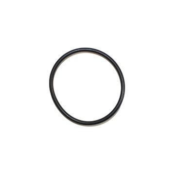 O RING 1.612 DIA (UA11671P)