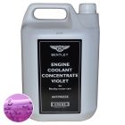 VIOLET/PURPLE COOLANT (5 litres) (JNV862564)