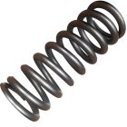 ROAD SPRING REAR RH (PD100794PAU)